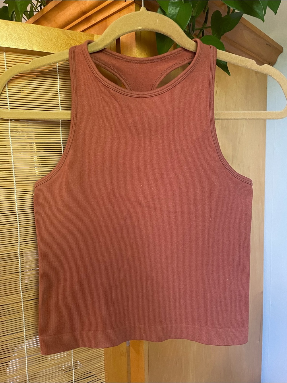 Free People Ribbed Tank Top in Rust